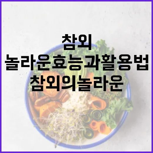 참외의 놀라운 효능과 활용법 - 요약