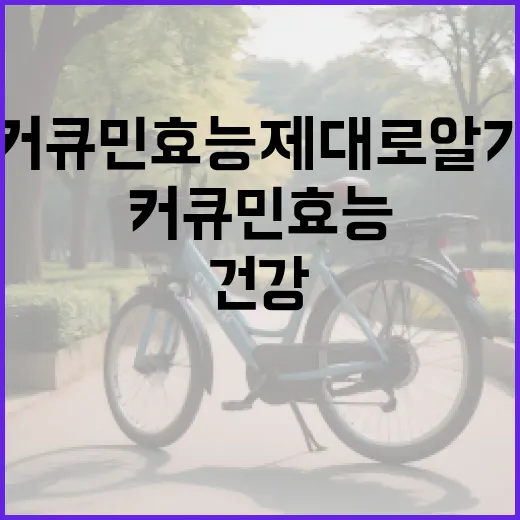 커큐민 효능 제대로 알기: 건강을 위한 간단한 팁 - 요약