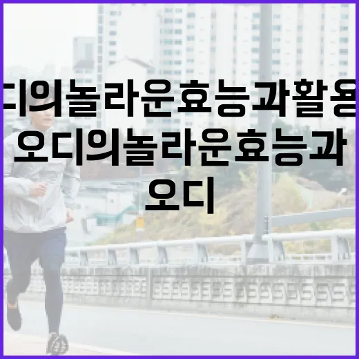 오디의 놀라운 효능과 활용법 - 요약
