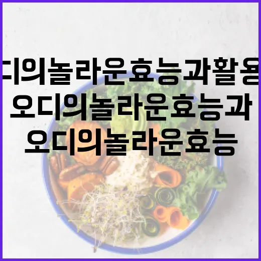 오디의 놀라운 효능과 활용법 - 요약