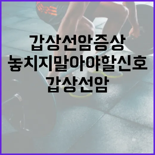 갑상선암 증상 알아보기: 놓치지 말아야 할 신호들 - 요약
