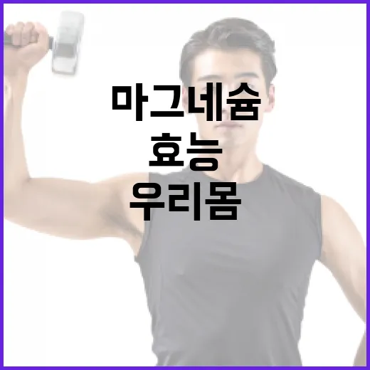 마그네슘이 우리 몸에 미치는 놀라운 효능 - 요약