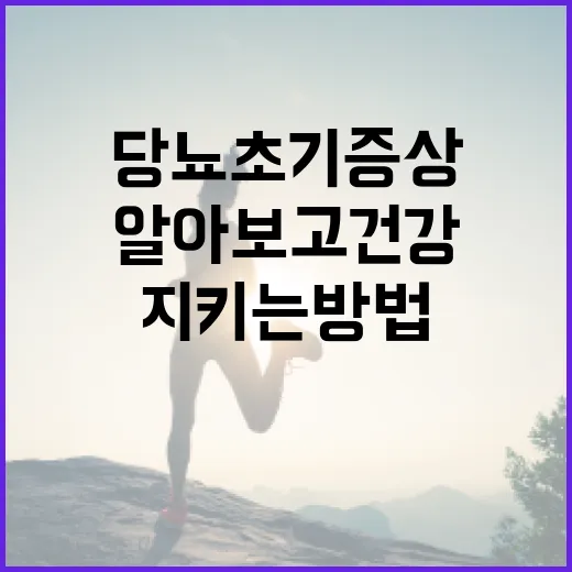 당뇨 초기증상 알아보고 건강 지키는 방법 - 요약