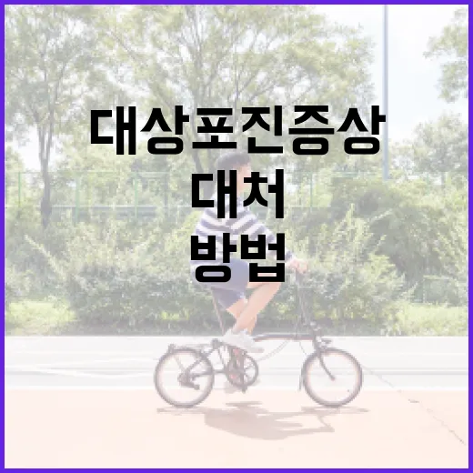 대상포진 증상을 이해하고 대처하는 방법 - 요약