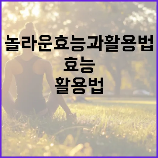 아이미산의 놀라운 효능과 활용법 - 요약