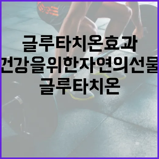 글루타치온 효과: 건강을 위한 자연의 선물 - 요약