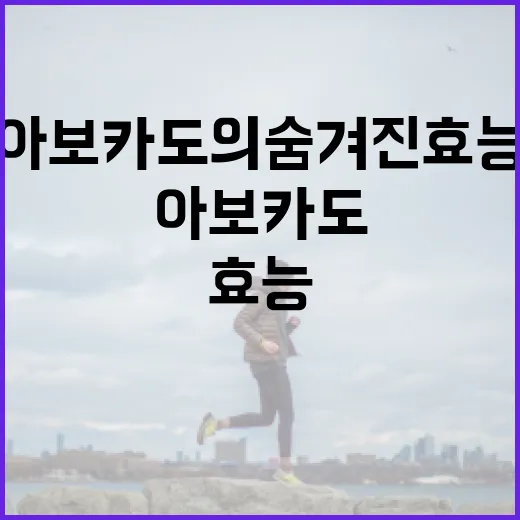 아보카도의 숨겨진 효능, 알아보고 활용하기 - 요약