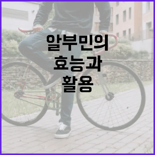 조혜련 다이어트: 성공 비법을 알아보자! - 요약