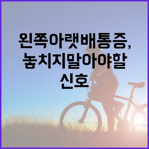 왼쪽 아랫배 통증, 놓치지 말아야 할 신호 - 요약