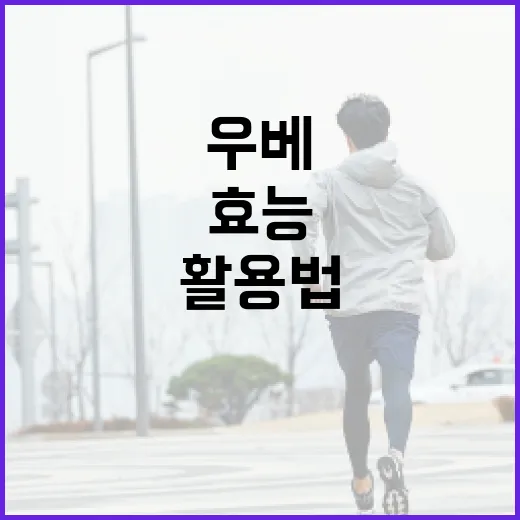 우베의 놀라운 효능과 활용법 알아보기 - 요약