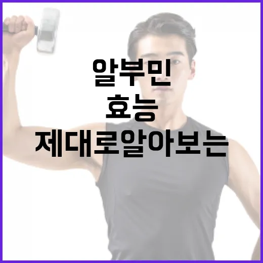 알부민의 효능을 제대로 알아보는 방법 - 요약