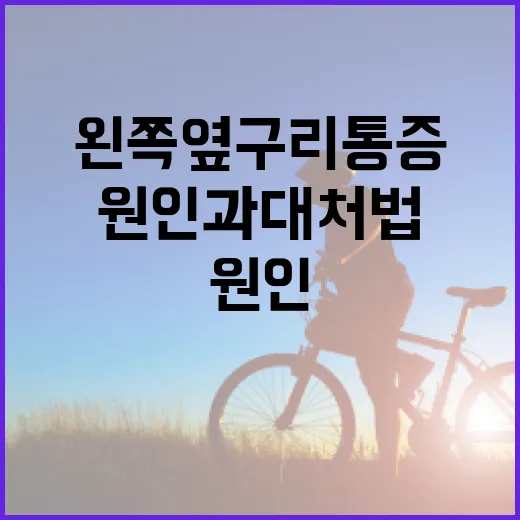 왼쪽 옆구리 통증을 해결하는 방법: 원인과 대처법
