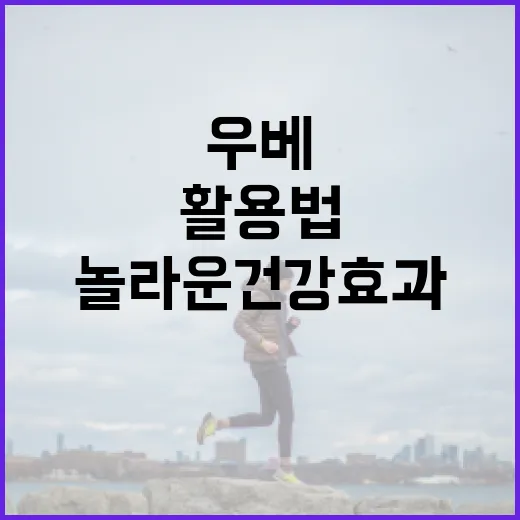 우베의 놀라운 건강 효과와 활용법