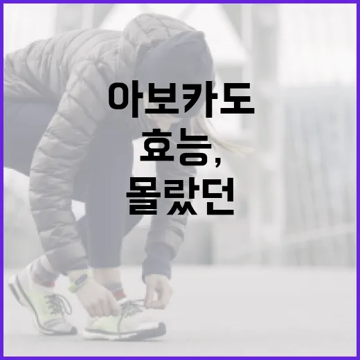 아보카도의 놀라운 효능, 당신도 몰랐던 사실들 - 요약
