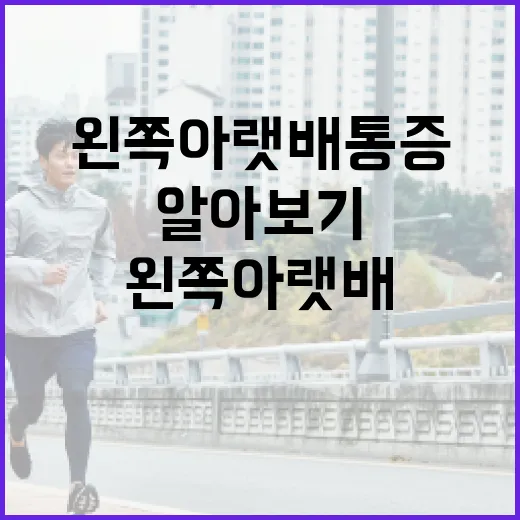 왼쪽 아랫배 통증, 이번 기회에 확실히 알아보기 - 요약