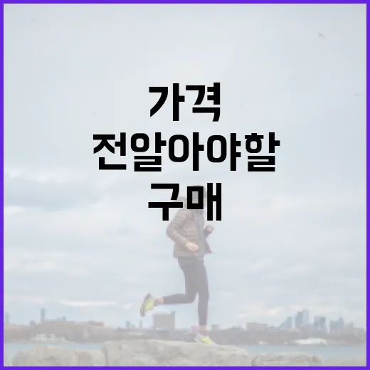 마운자를 구매하기 전 알아야 할 가격 정보 - 요약