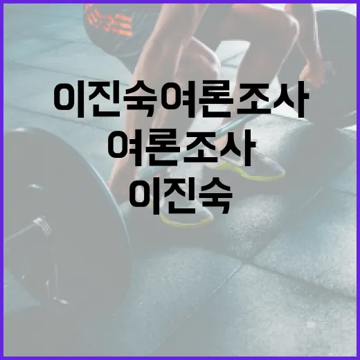 이진숙 여론조사: 이해하고 활용하는 방법 - 요약
