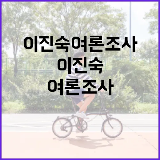 이진숙 여론조사: 어떻게 시작하고 활용할까? - 요약