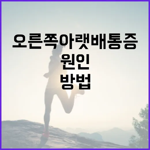 오른쪽 아랫배 통증: 원인과 관리 방법 - 요약