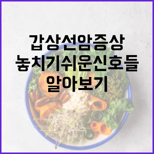 갑상선암 증상 알아보기: 우리가 놓치기 쉬운 신호들 - 요약