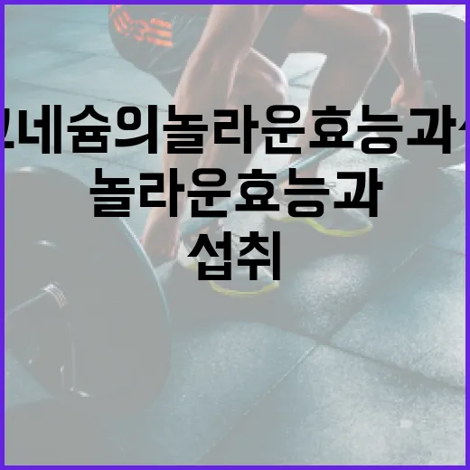 마그네슘의 놀라운 효능과 섭취 방법 - 요약