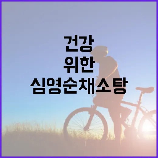 심영순 채소탕 만들기: 건강한 식탁을 위한 비법 - 요약