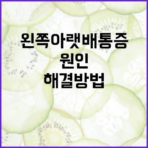 왼쪽 아랫배 통증, 원인과 해결 방법 알아보기 - 요약
