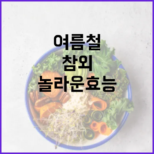 여름철 필수! 참외의 놀라운 효능 활용법 - 요약
