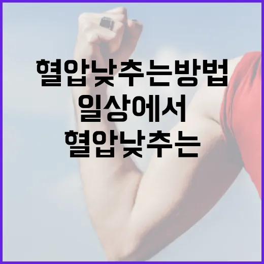 일상에서 쉽게 혈압 낮추는 방법 - 요약
