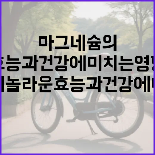마그네슘의 놀라운 효능과 건강에 미치는 영향 - 요약