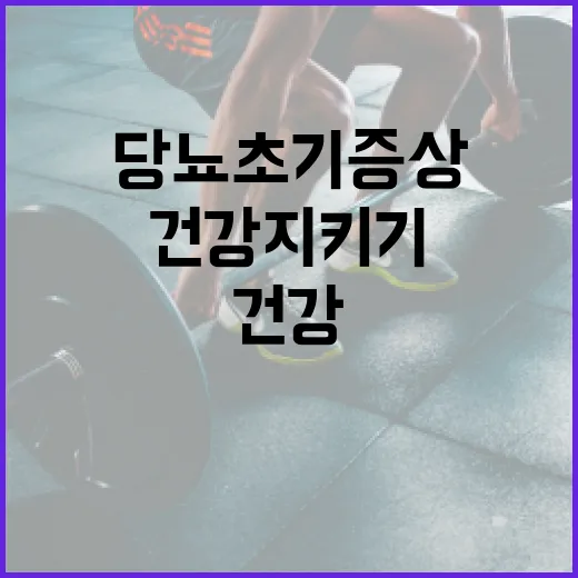 당뇨 초기증상 알아보고 건강 지키기 - 요약