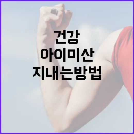 아이미산으로 건강하게 지내는 방법 - 요약