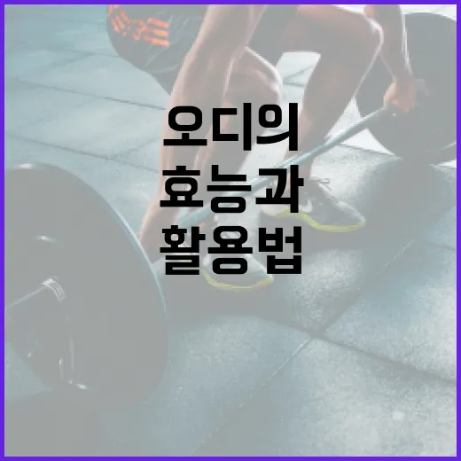 오디의 효능과 활용법: 건강을 위한 최고의 선택 - 요약