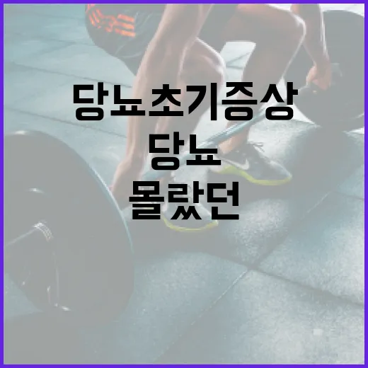 당뇨 초기증상 알아채는 방법, 당신도 몰랐던 신호들 - 요약