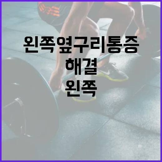 왼쪽 옆구리 통증, 이렇게 해결해 보세요! - 요약