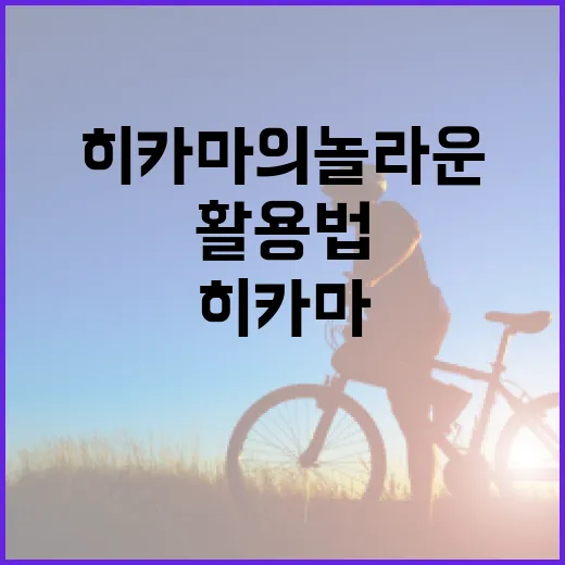 히카마의 놀라운 효과와 활용법 - 요약