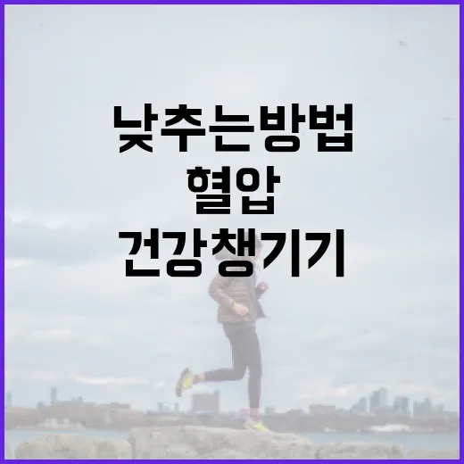 혈압 낮추는 방법: 생활 속 작은 변화로 건강 챙기기 - 요약