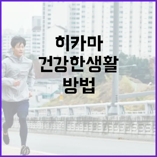 히카마를 활용한 건강한 생활 방법 - 요약