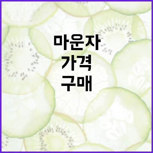 마운자를 구매할 때 가격을 절약하는 방법 - 요약