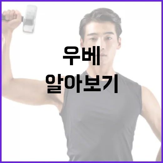 우베의 의미와 활용법, 알아보기 - 요약