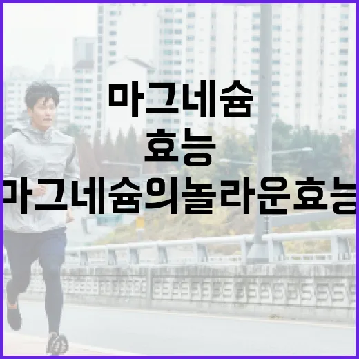 마그네슘의 놀라운 효능: 일상에 어떻게 활용할 수 있을까? - 요약