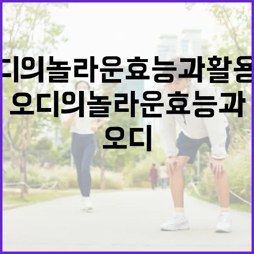 오디의 놀라운 효능과 활용법 - 요약