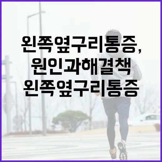 왼쪽 옆구리 통증, 왜 생기는 걸까요? 그 원인과 해결책 - 요약