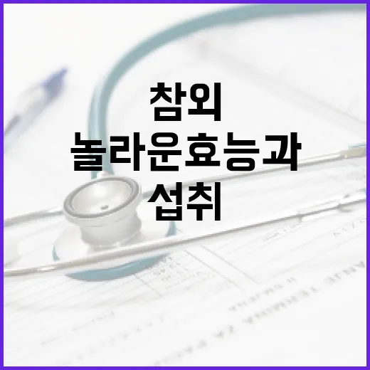 참외의 놀라운 효능과 섭취 방법 - 요약
