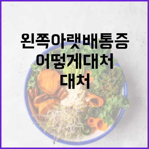 왼쪽 아랫배 통증, 어떻게 대처할까? - 요약