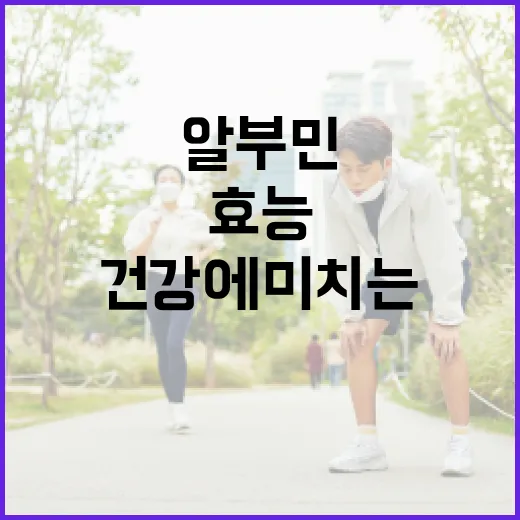 알부민의 놀라운 효능과 건강에 미치는 영향 - 요약