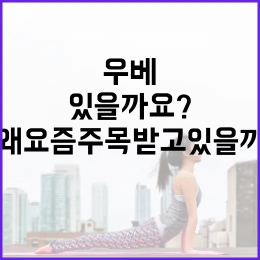 우베의 건강 비밀: 왜 요즘 주목받고 있을까요? - 요약