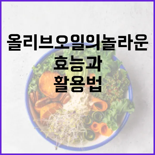 올리브오일의 놀라운 효능과 활용법 - 요약