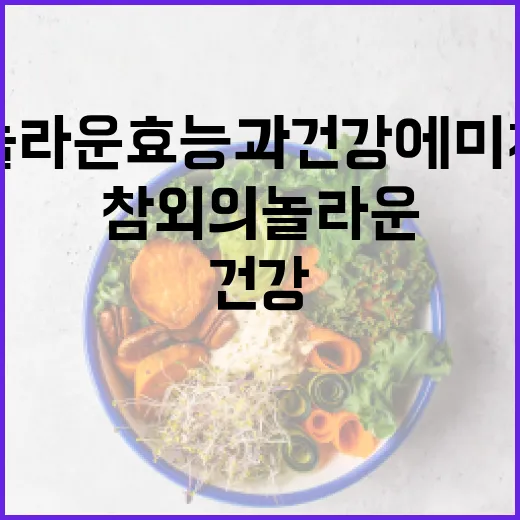 참외의 놀라운 효능과 건강에 미치는 영향 - 요약