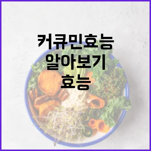 커큐민 효능 제대로 알아보기: 건강을 위한 선택 - 요약